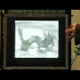 Would You Buy a 3DTV if You Didn't Need Glasses?